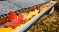 Seasonal Maintenance for Commercial Properties: The Autumn Checklist