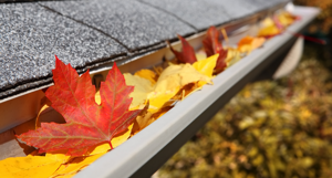 Seasonal Maintenance for Commercial Properties: The Autumn Checklist